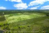 88 ac. Tract 13 Tower Drive - Photo 13