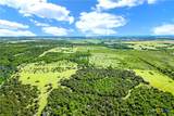 88 ac. Tract 13 Tower Drive - Photo 8