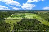 88 ac. Tract 13 Tower Drive - Photo 9