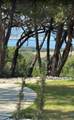 226 Bobby Clark Drive - Photo 41