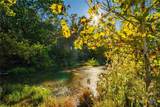 12695 Fm 2843 - Photo 10