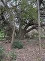 2082 Fm 318 - Photo 36