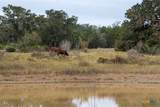 TBD Old Lockhart Rd - Photo 5