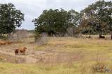 TBD Old Lockhart Rd - Photo 6
