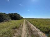 000 County Road 18 - Photo 13