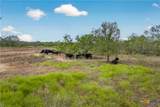 1152 County Road 447 - Photo 5