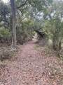 TBD Donahoe Road - Photo 19