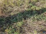 TBD County Road 251 - Photo 21