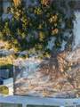 3419 Shoreline Drive - Photo 9