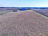 1165 County Road 238 - Photo 7