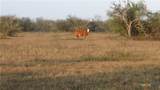 0 Co Rd 115, 59 Bypass Feeder - Photo 15
