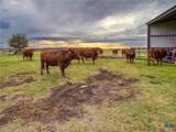 198 County Road 310 - Photo 44