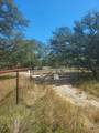346 Ammann Road - Photo 1