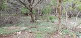 15974 Brazos Drive - Photo 18
