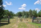 4850 Burke Road - Photo 7