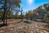 12851 Fm 1117 - Photo 15