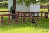 104 Longhorn Road - Photo 36