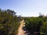 TBD County Road 402 - Photo 12