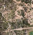 TBD County Road 402 - Photo 35