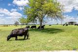 6589 State Highway 304 - Photo 41