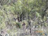 TBD Pr 1789 - Photo 19