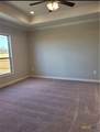 224 Alysheba Dr - Photo 11