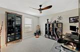 224 Serpens Street - Photo 24