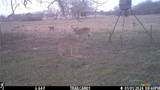 2427 Fm 234 - Photo 22