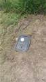 537 Longhorn Trail - Photo 5