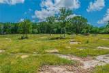 2249 Prickley Pear Road - Photo 6