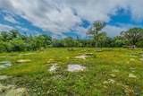 2249 Prickley Pear Road - Photo 8
