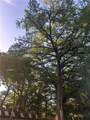 8400 River Road - Photo 10