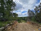 TBD-End Bunnell Road - Photo 21