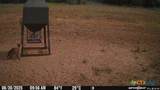 TBD-End Bunnell Road - Photo 31