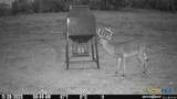 TBD-End Bunnell Road - Photo 32