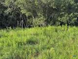 000 County Road 18 61.46 Acres Tract 2 & 3 - Photo 35