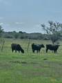 000 County Road 18 30.73 Acres Tract 3 - Photo 1
