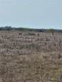 000 County Road 18 30.73 Acres Tract 3 - Photo 4