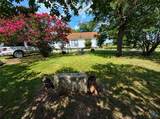 3030 County Road 234 - Photo 3