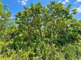 1256 Kenton Parkway - Photo 8