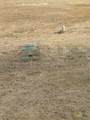 345 Cactus Circle - Photo 12