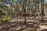 975 Wilderness Oaks - Photo 35