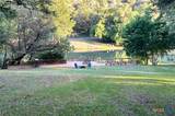 1380 Ponderosa Drive - Photo 2