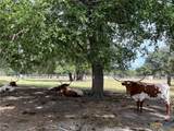 4009 Highway 183 - Photo 19