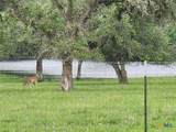 1684 Zengerle Rd - Photo 37