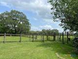1037 Noll Road - Photo 39
