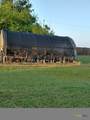 1037 Noll Road - Photo 43