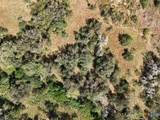 TBD Lot 13 County Rd 206 - Photo 20