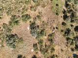 TBD Lot 13 County Rd 206 - Photo 21