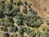 TBD Lot 13 County Rd 206 - Photo 6
